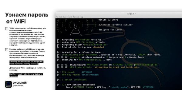 ​​Как узнать пароль от WiFi на Kali Linux